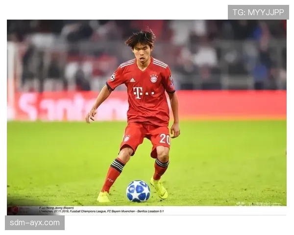 弗赖堡反击效率显著提升，稳健战术表现引关注