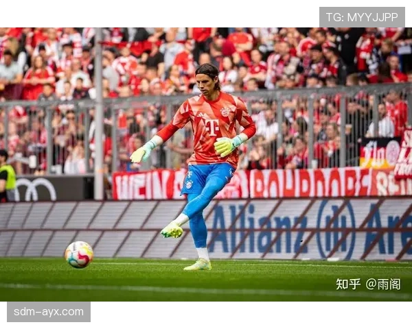 德甲新赛季看点：新援能否闪耀赛场成最大悬念